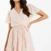 Quiz Blush Pink Foil Chiffon Skater Dress